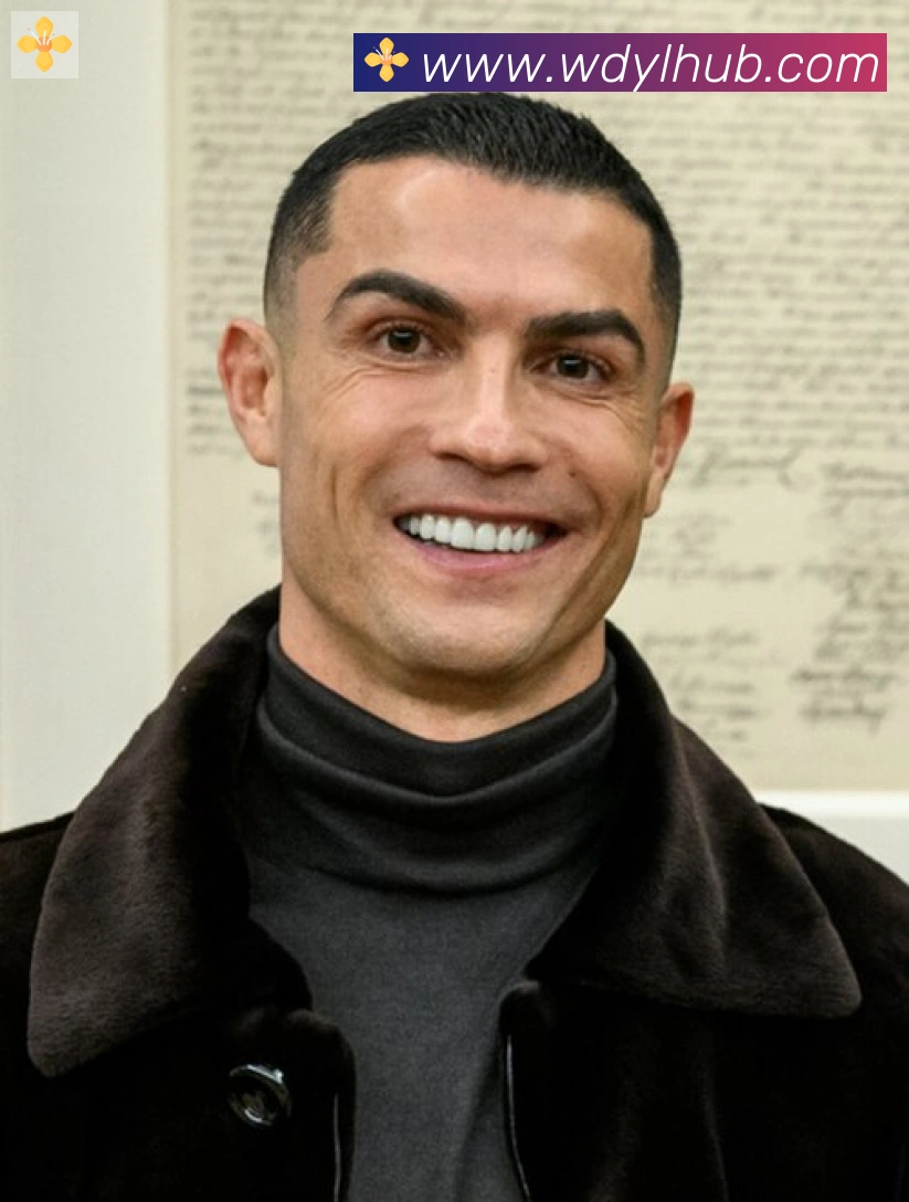 维尼修斯